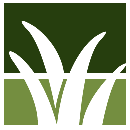 Easton Lawn Clean Up