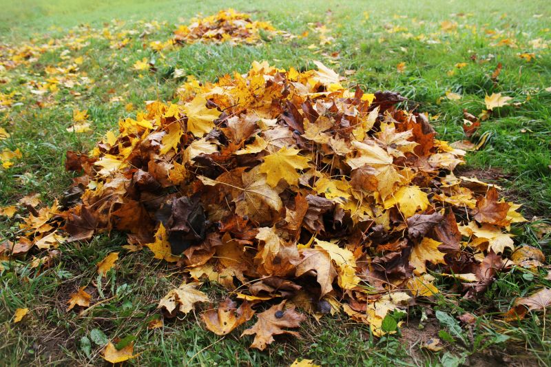 Proper Leaf Mulching