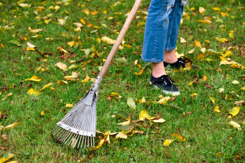 Lawn Raking and Cleanup