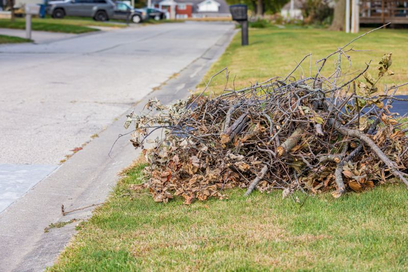 Lawn Debris Cleanup