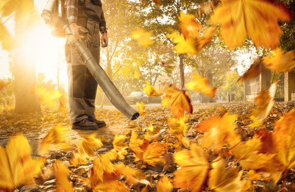Cost of Leaf Blowing Service in Easton