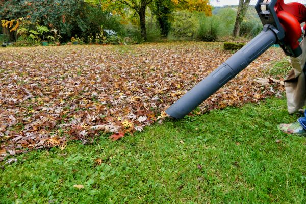 Cost of Leaf Vacuuming Service in Easton