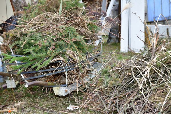 Cost of Yard Waste Removal Service in Easton