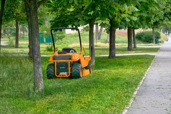 Landscaping Cleanup Service in Easton