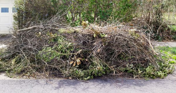 Cost of Tree Limb Cleanup in Easton