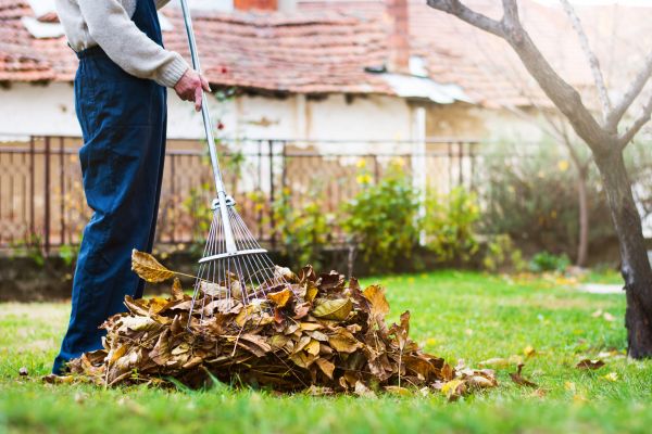 Spring Lawn Cleanup in Easton