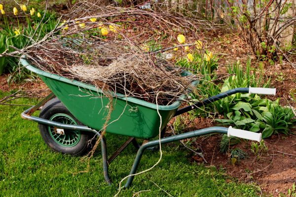 Cost of Lawn Waste Removal in Easton