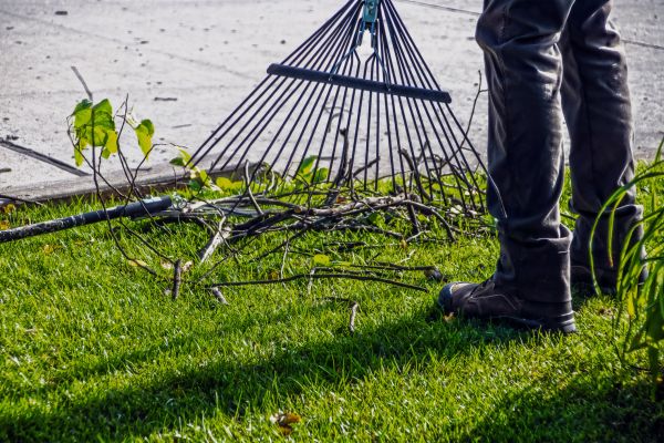 Yard Debris Cleanup